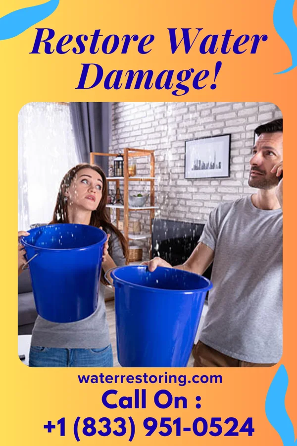 water restoration Modern Flood Cleanup Inc Aldan