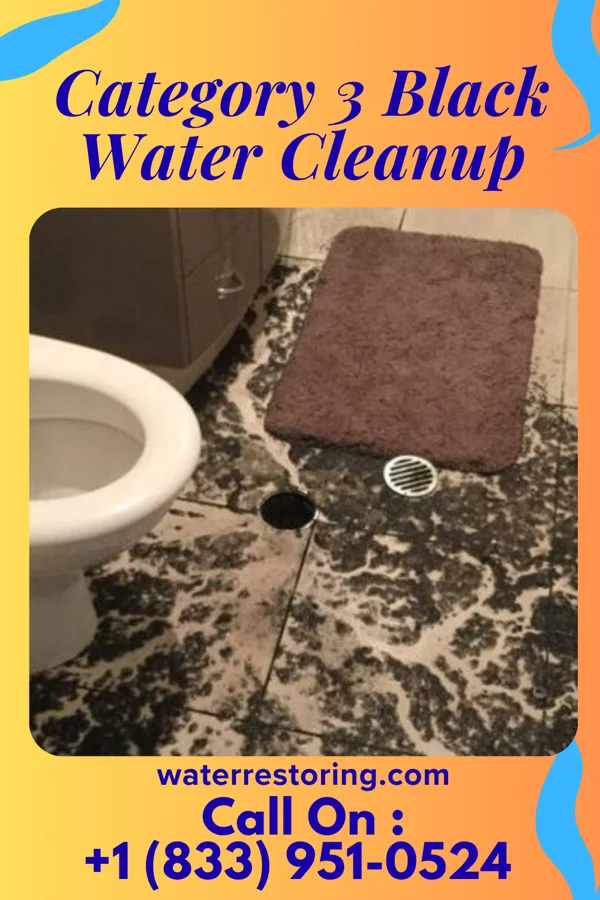 Category 3 Black Water Cleanup in Aldan, PA