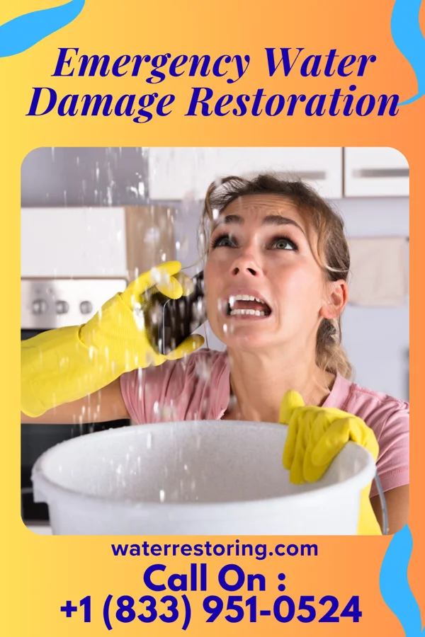 Emergency Water Damage Restoration in Aldan, PA