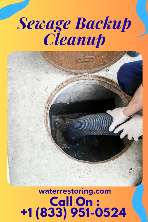 Sewage Backup Cleanup in Aldan, PA